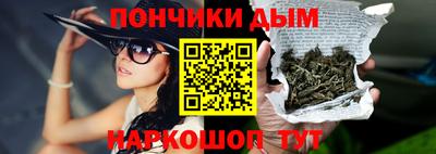 шишки Лесосибирск