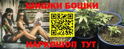 шишки Лесосибирск
