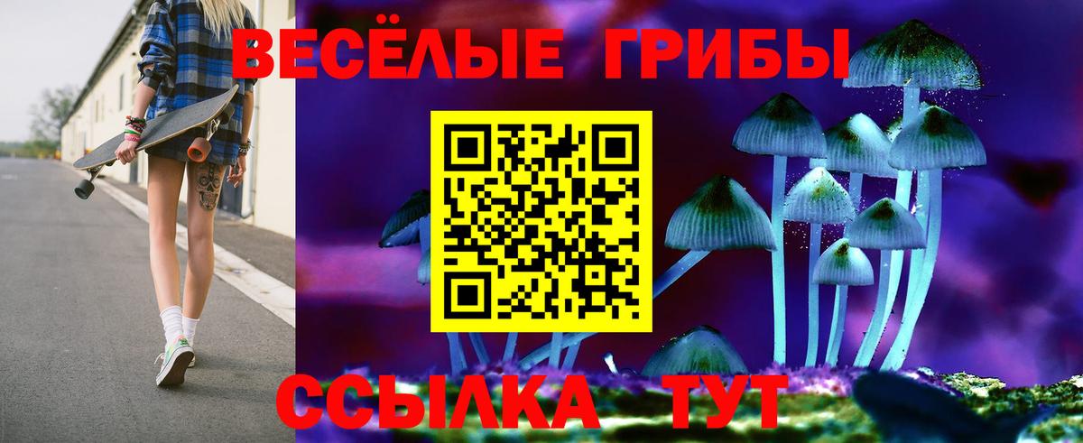 Псилоцибиновые грибы MAGIC MUSHROOMS  Вход с VPN  Казань 